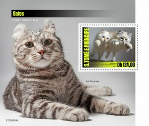 Sao Tome & Principe Cats Stamps 2020 MNH Ragdoll American Curl Cat Pets 1v S/S