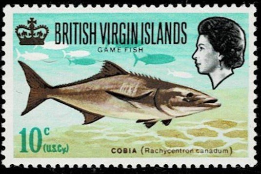 British Virgin Islands 1968 Fish MNH