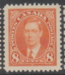 Canada Scott #236 Stamp - Mint NH Single