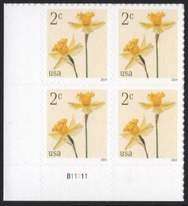 NEW ISSUE: 2¢ Daffodils Plate Block: LL #B11111 (2024) SA