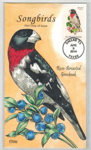 2014 COLLINS HANDPAINTED BIRDS SONGBIRDS ROSE BREASTED GROSBEAK Nice!