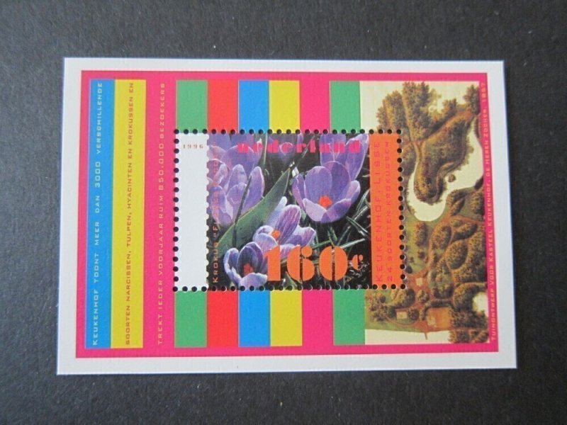 Netherlands 1996 Sc 924 set MNH