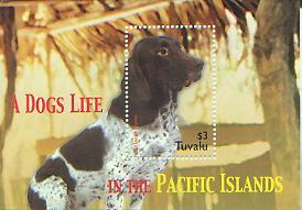 Dogs Life, S/S 1, TUVA0964*