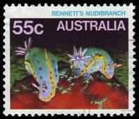 Australia #913 Used - 1984 55c.  - Shells, Sea Slugs, Marine