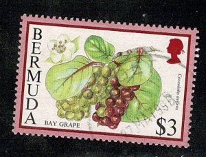 Bermuda #682 used $3 flowers