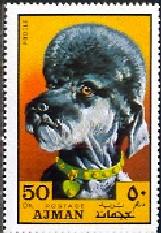 Dog, Poodle, Ajman stamp MNH