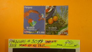 Paraguay 2018 Scott# 3079 (a.-b.) Mint XF NH CPL Pair