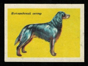 Dog breed: Scottish Seter, Matchbox Label Stamp (ST-76)