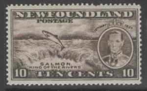 NEWFOUNDLAND SG261 1937 10c BLACKISH-BROWN MTD MINT