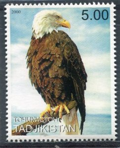 Tajikistan 2000 BIRD EAGLE 1 Stamp Perforated Mint (NH)