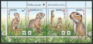 Belorussia Belarus 2015 WWF Speckled ground squirrel mammals block MNH