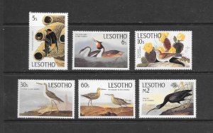 BIRDS - LESOTHO #481-6  AUDUBON MNH