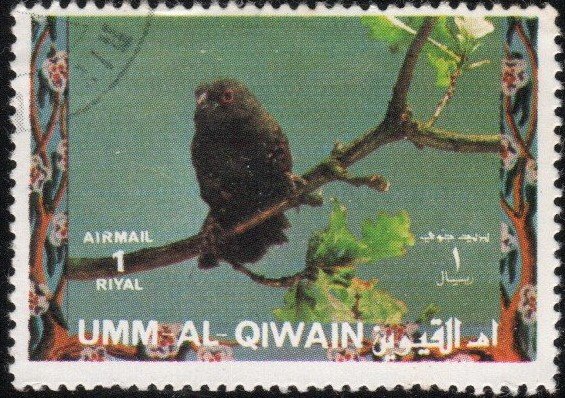 Umm al Qiwain sw1478 - Cto - 1r Dusky Twinspot (1972)