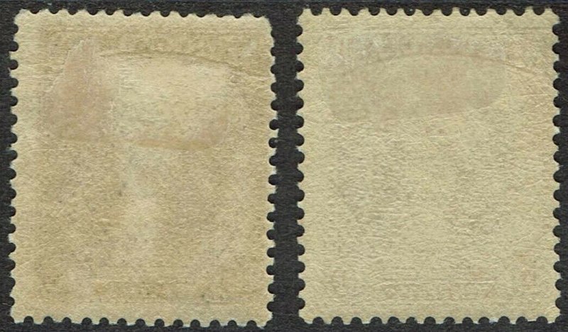 NEWFOUNDLAND 1923 PICTORIAL ISSUE 10C BOTH SHADES