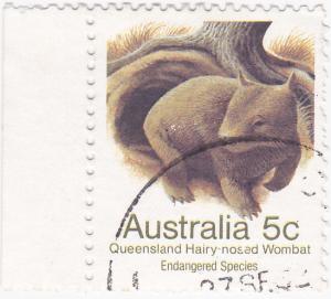 Australia 1981 Wildlife- Wombat  5c -used SG 784