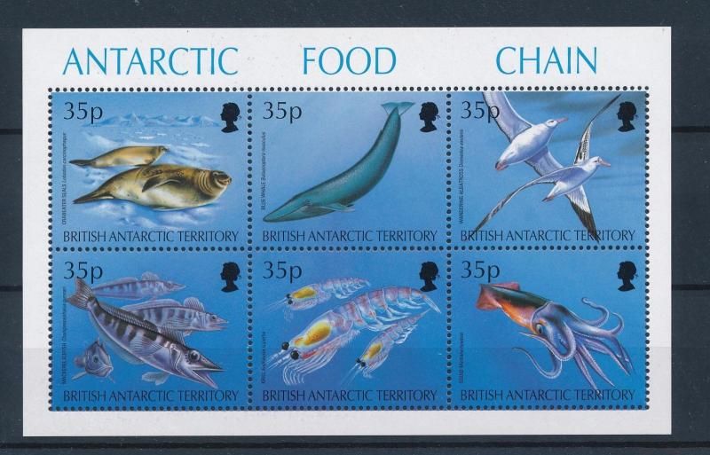 [47376] British Antarctic Territory 1994 Marine life Seal Whale Squid MNH Sheet