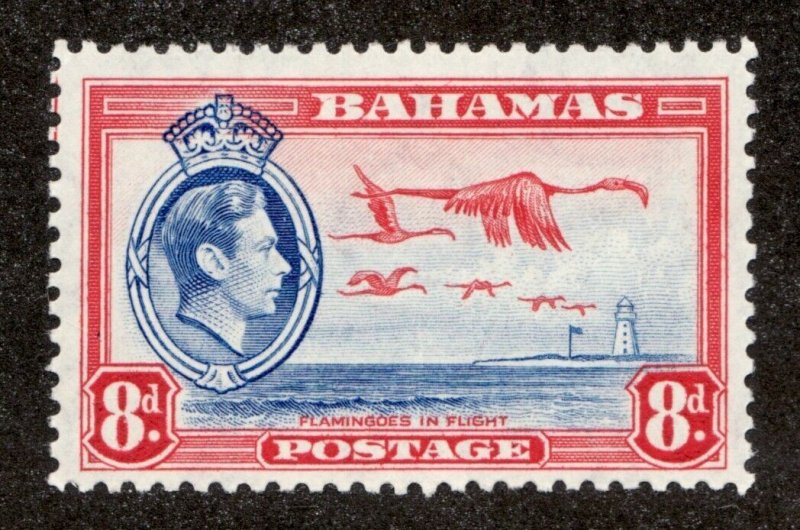 1938 Bahamas Sc# 108 - Eight Pence, KGVI. Flamingoes in Flight. MH postage stamp