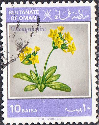 Oman #226  Used