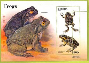 B0510 - LIBERIA - MISPERF ERROR Stamp Sheet - 2022 - Reptiles, Frogs-