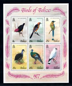 [50124] Belize 1977 Birds Vögel Oiseaux Ucelli MNH Sheet