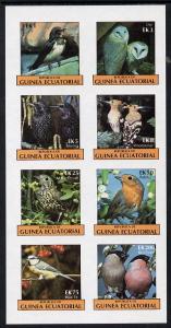 Equatorial Guinea 1977 Birds (Owl, Blue Tit, Bull finch e...
