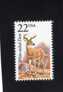 2317 White-tailed Deer, MNH