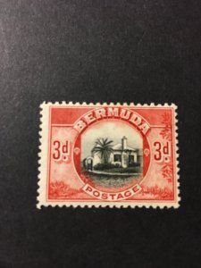 Bermuda sc 111 MLH