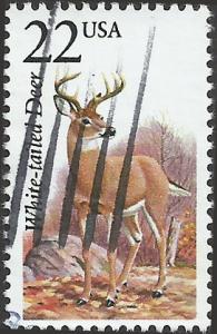 # 2317 USED WHITE-TAILED DEER