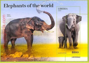 B0511 - LIBERIA - MISPERF ERROR Stamp Sheet - 2022 - Elephants of the world-