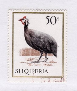Albania     1091                  used