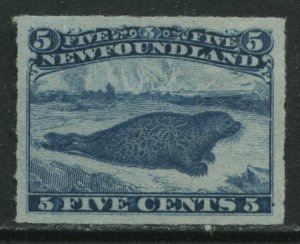 Newfoundland 1876 5 cents unused no gum