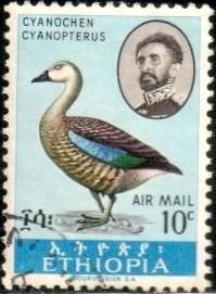 Bird, Blue-winged Goose, Ethiopia stamp SC#C107 used