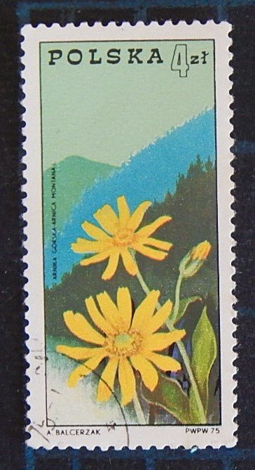 Flowers, (2515-T)