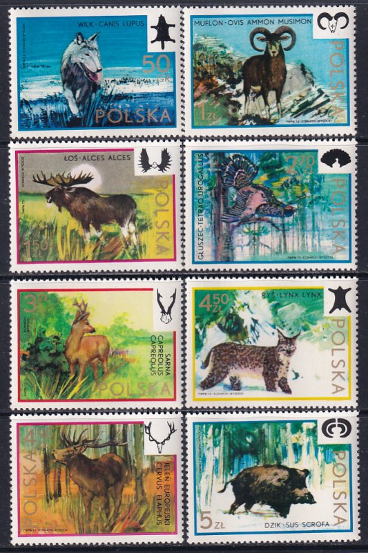 Poland 1973 Sc 1971-8 Wolf Mouflon Moose Deer Lynx Boar Capercaille Stamp MNH