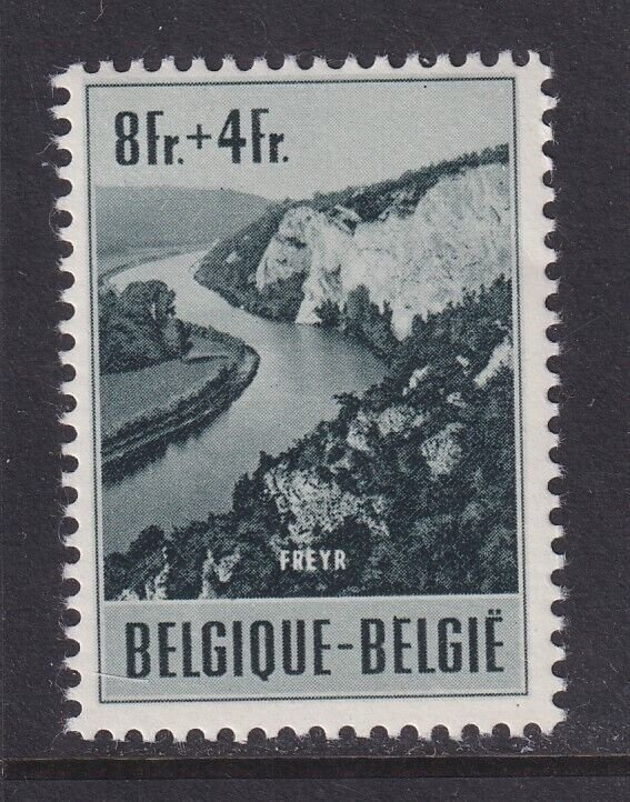 Belgium, Scott B543, MNH