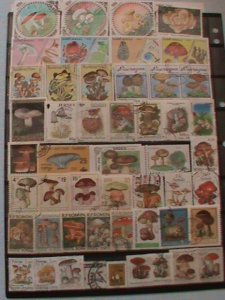 TROPICAL STAMP: 50 DIFFERENT COLORFUL BEAUTIFUL LOVELY MUSHROOM USED STAMPS. MOS