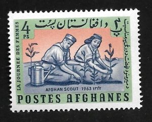 Afghanistan 1964 - MNH - Scott #668B