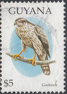 Guyana #2931   Used