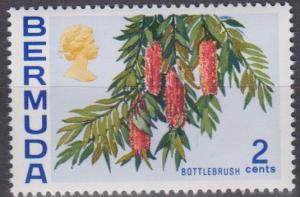 Bermuda #256 MNH VF (A4807)