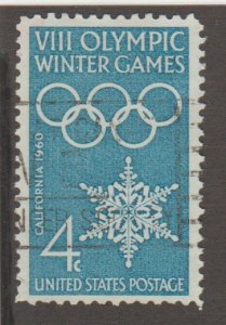 USA 1146  Winter Olympics