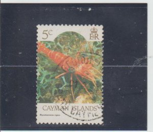 Cayman Islands  Scott#  562b  Used  (1990 Marine Life)