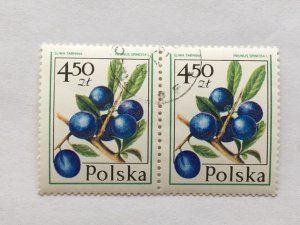 Poland – 1977 – Pair of Stamps – SC# 2204 - Used