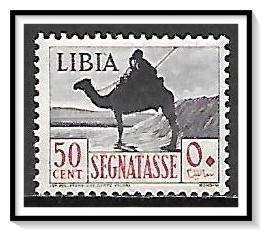 Libya #J005 Postage Due MNH