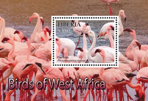 Liberia-2016 West Africa Birds on Stamps Souvenir Sheet MNH