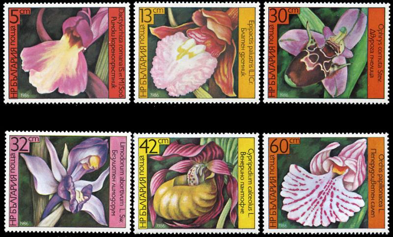 Bulgaria 3140-5 MNH - Orchids