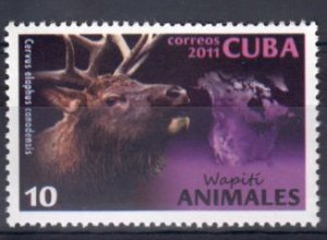 CUBA Sc# 5243 WILD ANIMALS 10c   2011  MNG