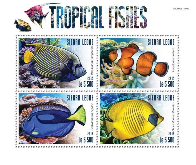 SIERRA LEONE - 2015 - Tropical Fishes - Perf 4v Sheet - Mint Never Hinged