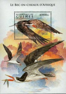 Skimmer Stamp Rynchops Flavirostris Bird Souvenir Sheet MNH #11532 / Bl.2602