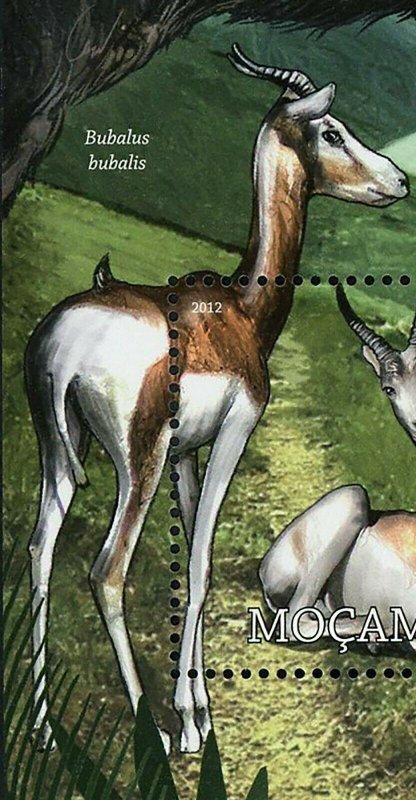 Ungulates Stamp Gazella Dama Bubalus Bubalis Bos Javanicus S/S MNH #5682 /Bl.619