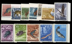 Trieste Zone B #93-104 Cat$57.25, 1954 Animals, complete set, never hinged